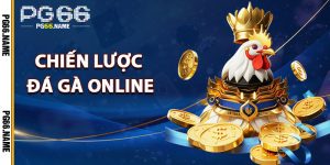 Chiến Lược Đá Gà