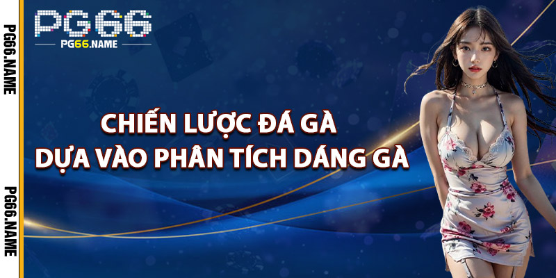Chiến Lược Đá Gà – Phân Tích Từ Dữ Liệu Thực Tế Của PG66 3 Chiến Lược Đá Gà Dựa Vào Phân Tích Dáng Gà