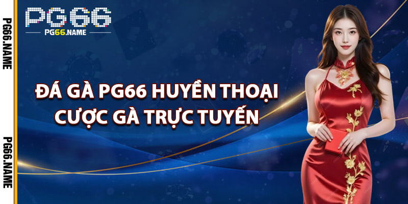 Đá Gà PG66 – Đấu Trường Gay Cấn Kèo Cược Đỉnh Cao 1 Đá Gà PG66 Huyền Thoại Cược Gà Trực Tuyến