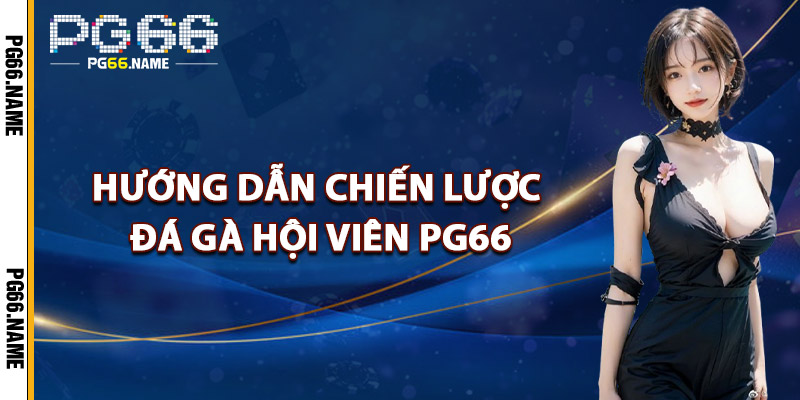 Chiến Lược Đá Gà – Phân Tích Từ Dữ Liệu Thực Tế Của PG66 2 Hướng Dẫn Chiến Lược Đá Gà Cho Hội Viên PG66